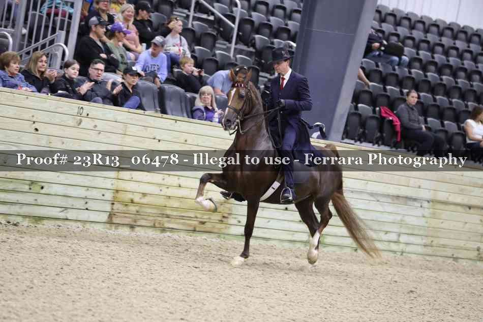 Proof 23R13_06478