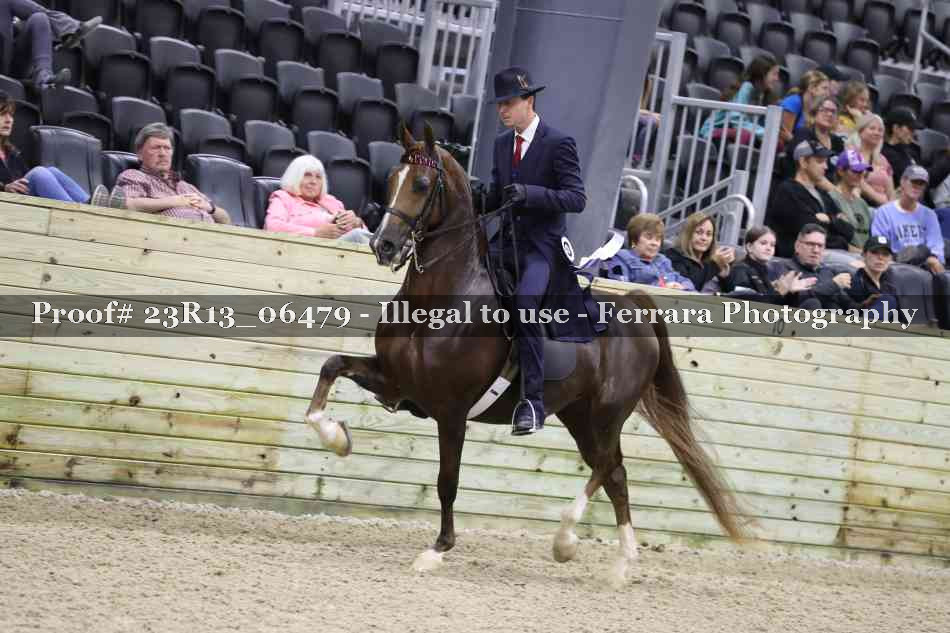 Proof 23R13_06479