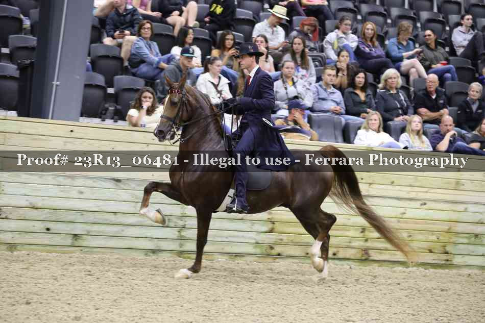 Proof 23R13_06481