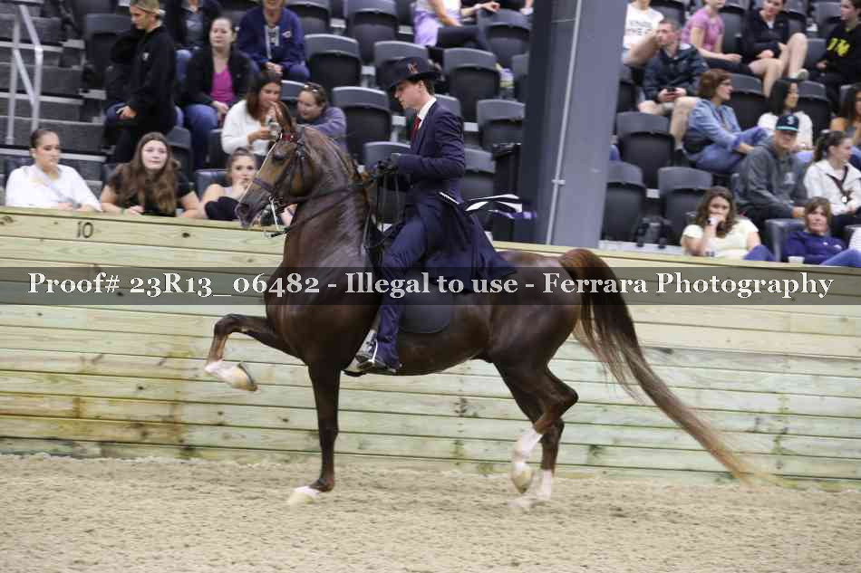 Proof 23R13_06482