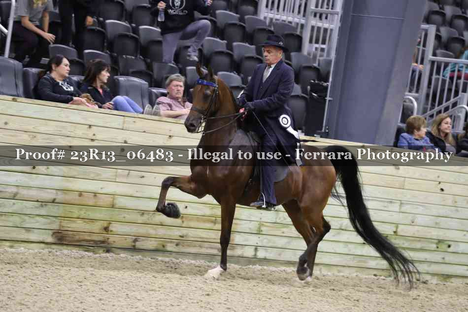 Proof 23R13_06483