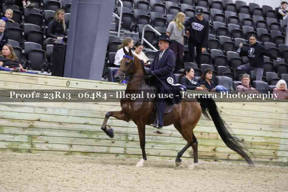 Proof 23R13_06484
