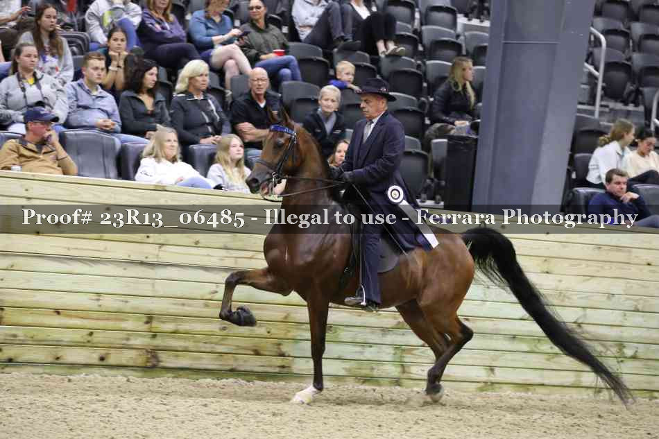 Proof 23R13_06485