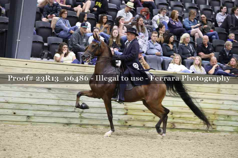 Proof 23R13_06486
