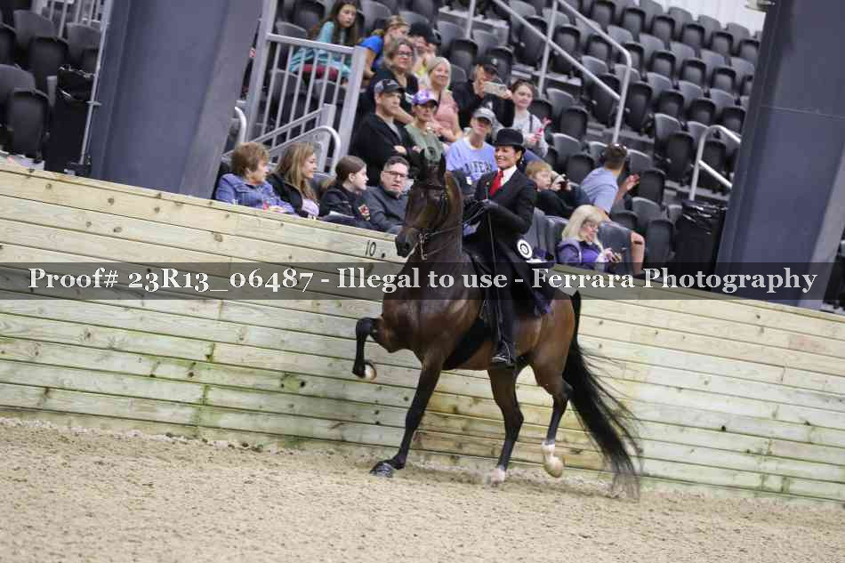 Proof 23R13_06487