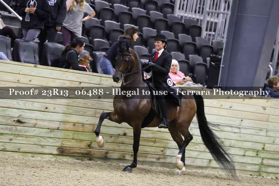 Proof 23R13_06488