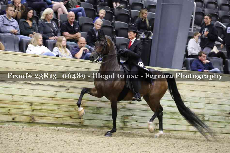 Proof 23R13_06489