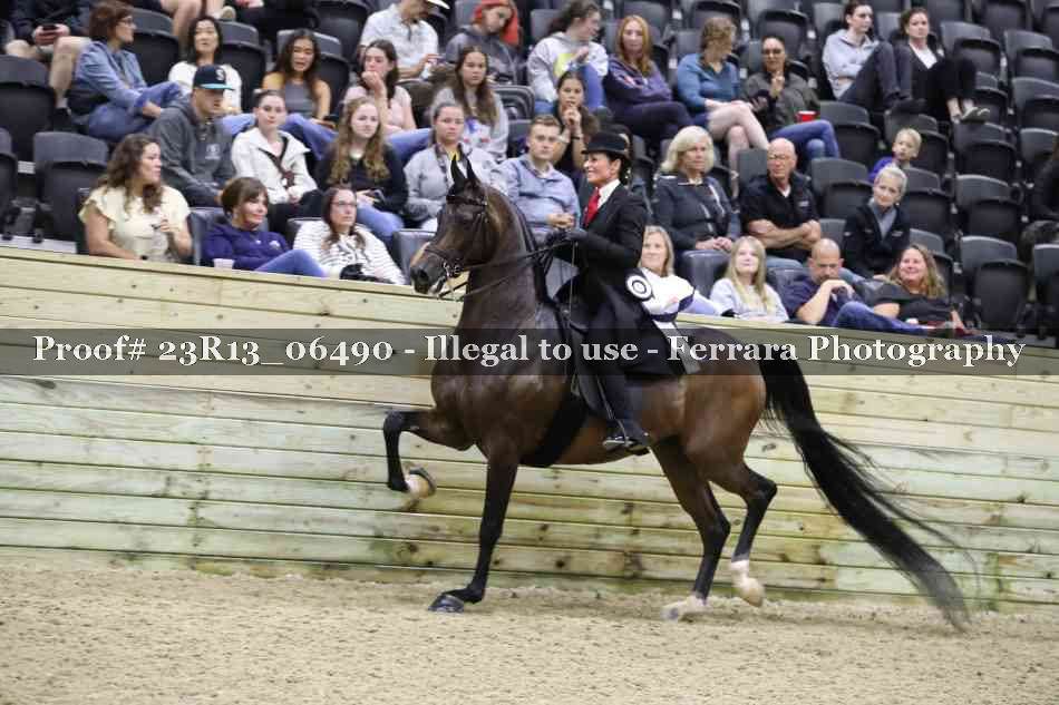 Proof 23R13_06490