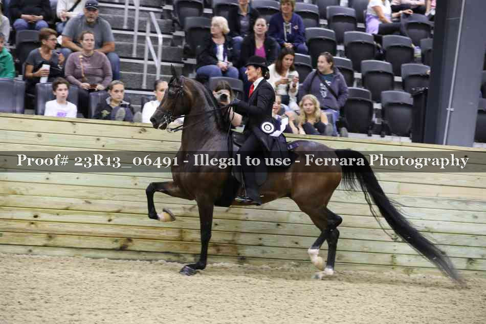 Proof 23R13_06491