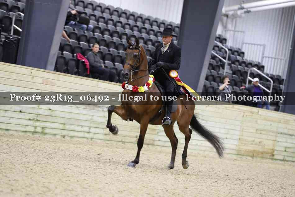Proof 23R13_06492