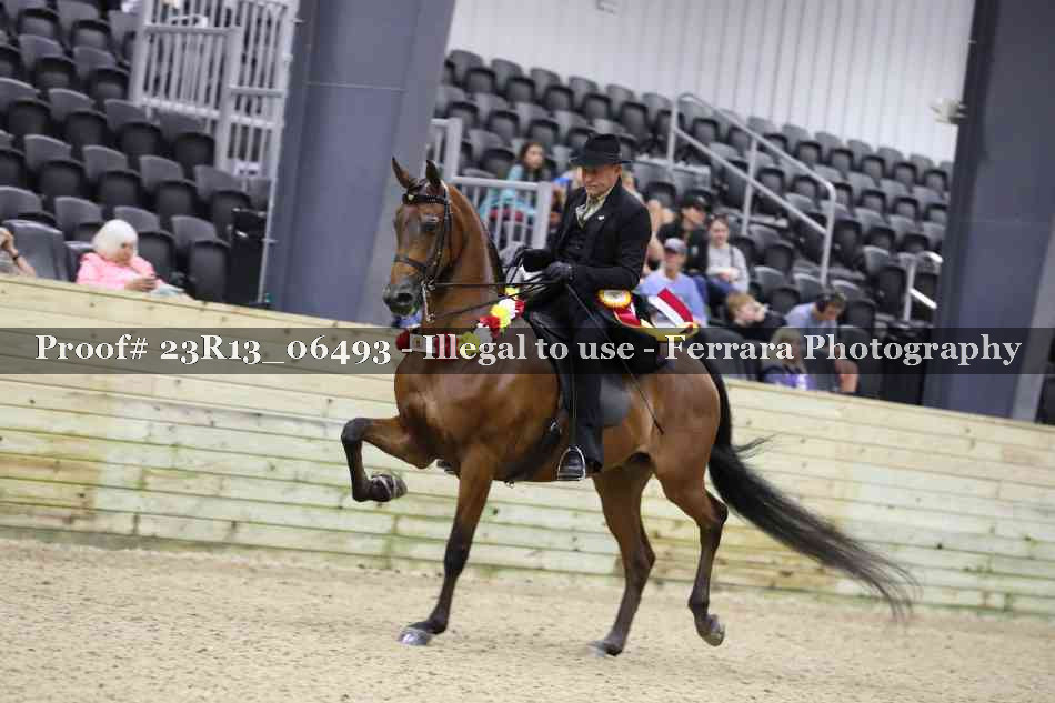 Proof 23R13_06493