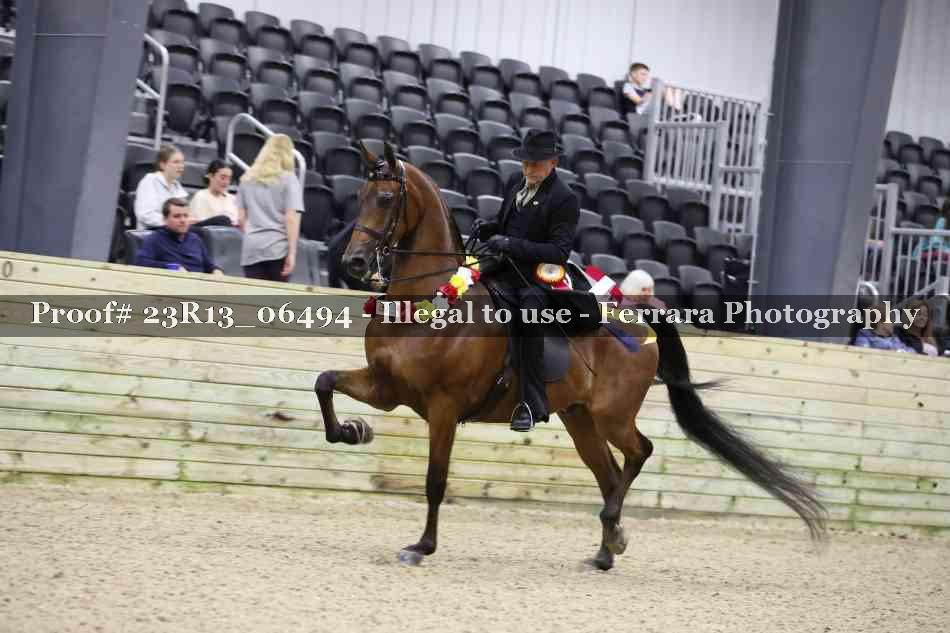Proof 23R13_06494