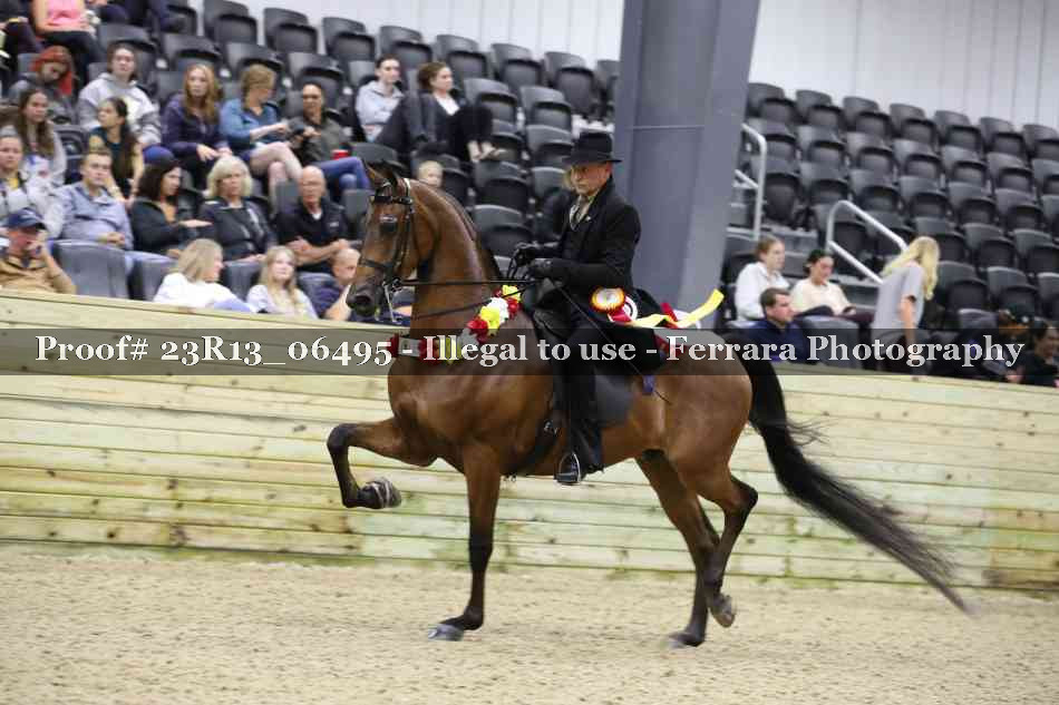 Proof 23R13_06495