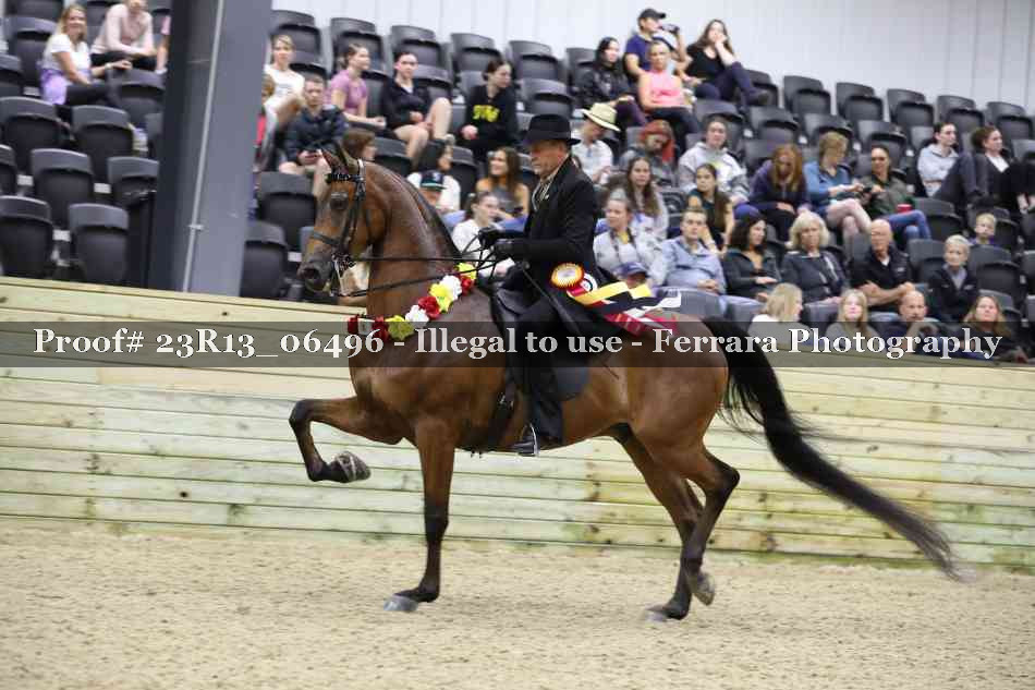 Proof 23R13_06496