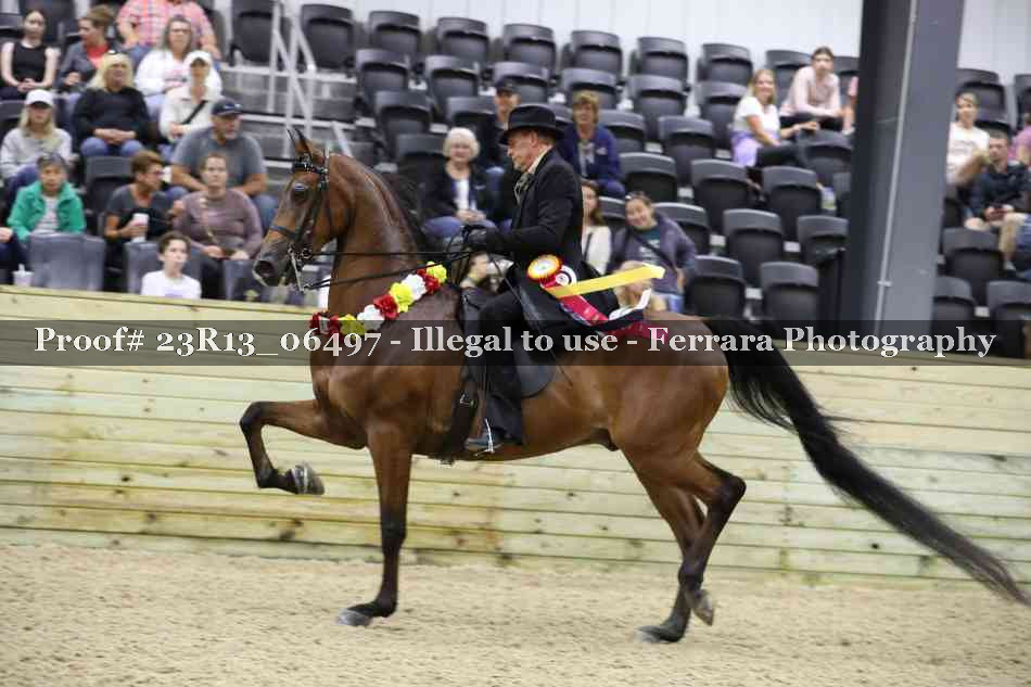 Proof 23R13_06497