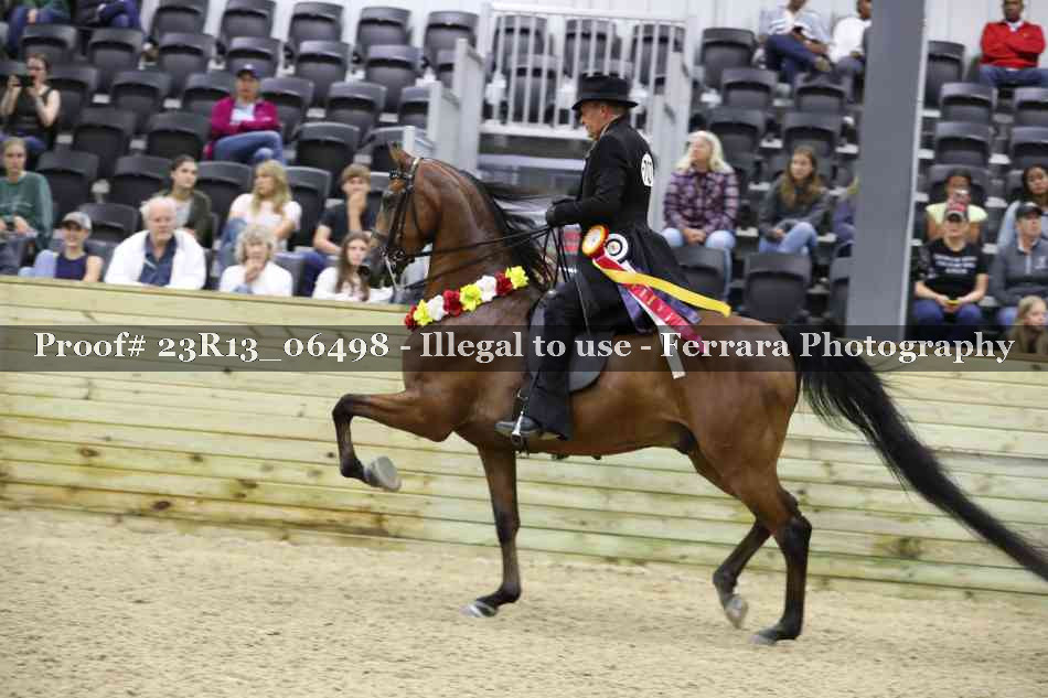 Proof 23R13_06498