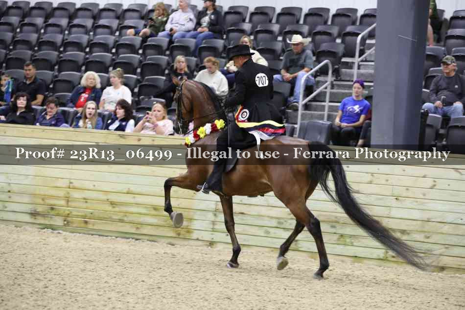 Proof 23R13_06499