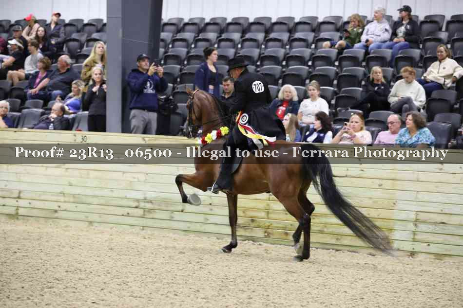 Proof 23R13_06500