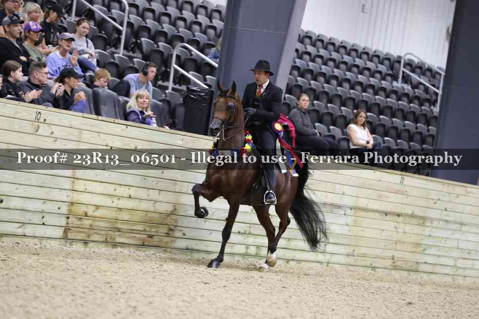 Proof 23R13_06501