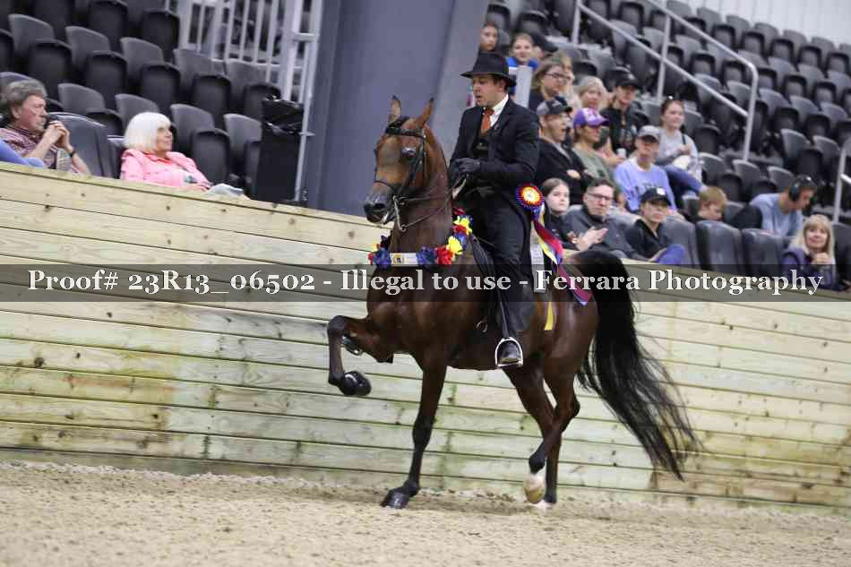 Proof 23R13_06502