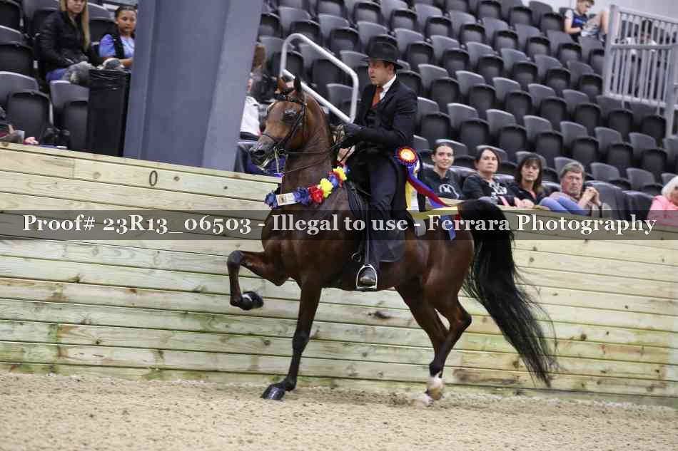 Proof 23R13_06503