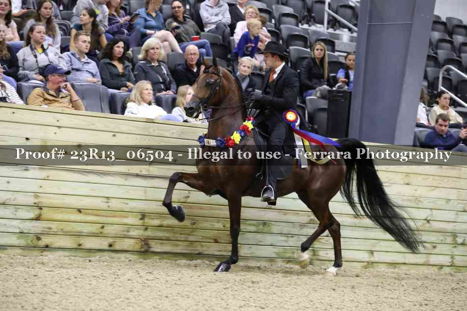Proof 23R13_06504
