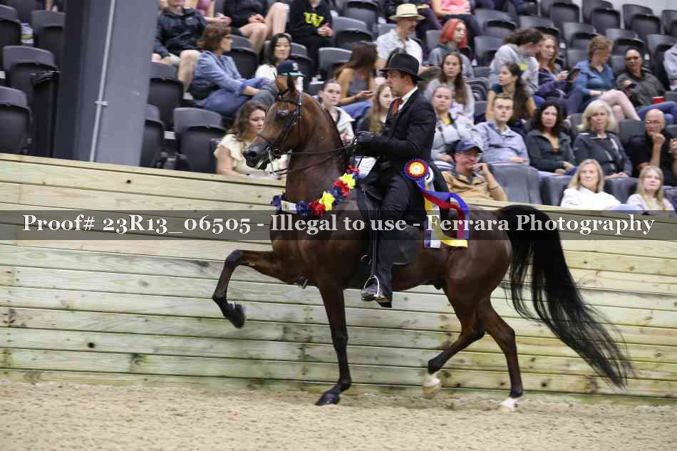 Proof 23R13_06505