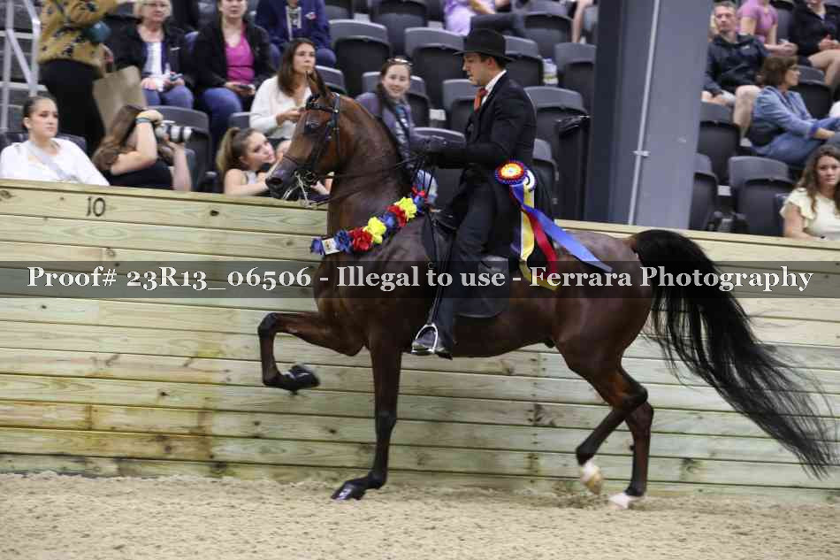 Proof 23R13_06506