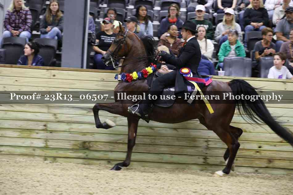 Proof 23R13_06507