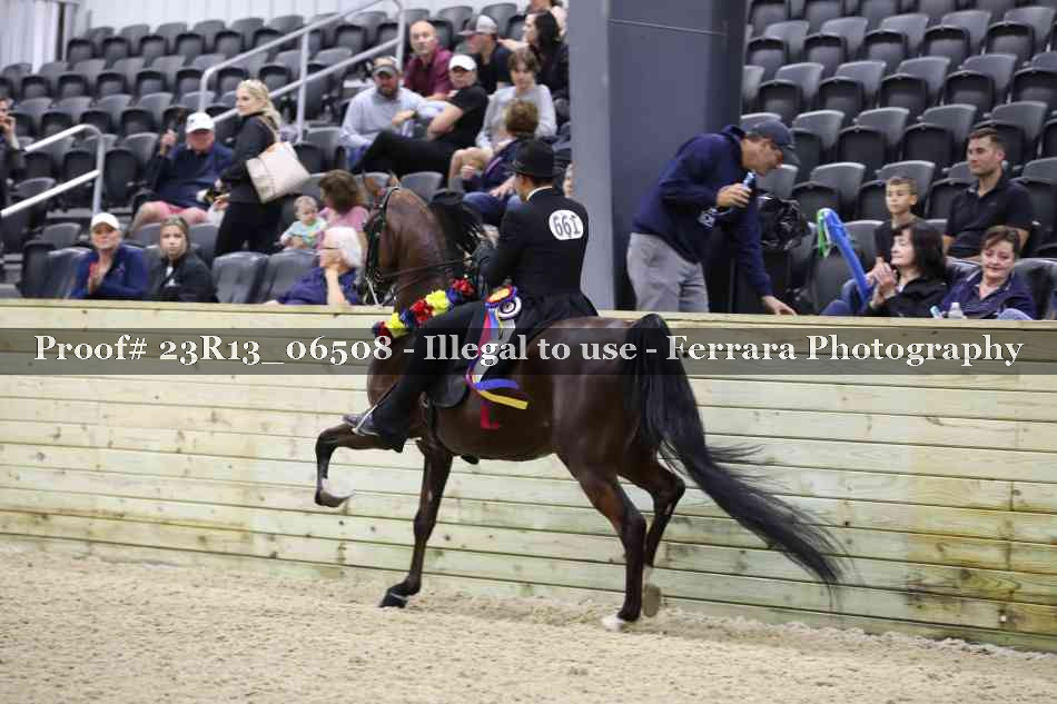 Proof 23R13_06508