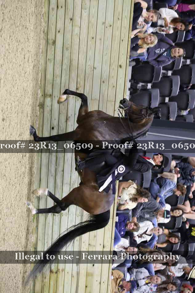 Proof 23R13_06509
