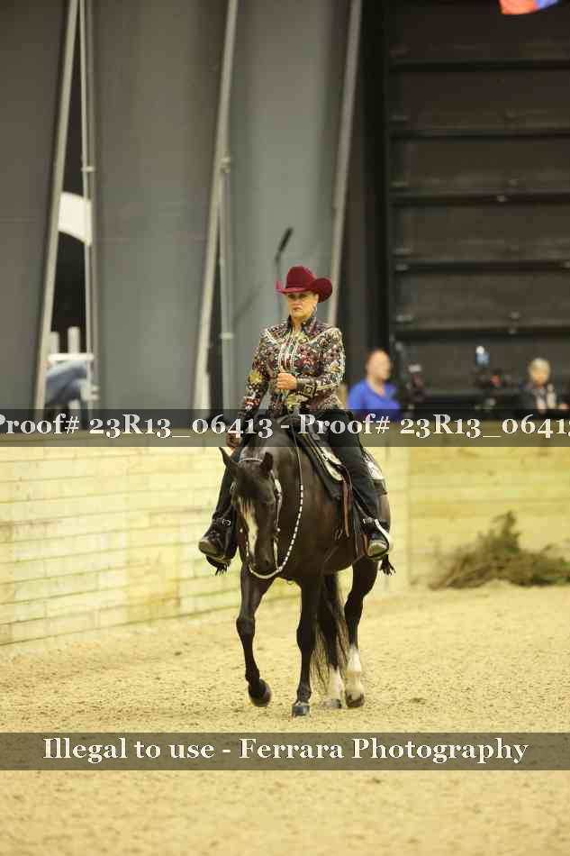 Proof 23R13_06413