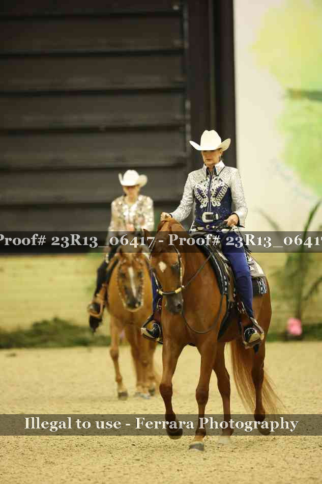 Proof 23R13_06417
