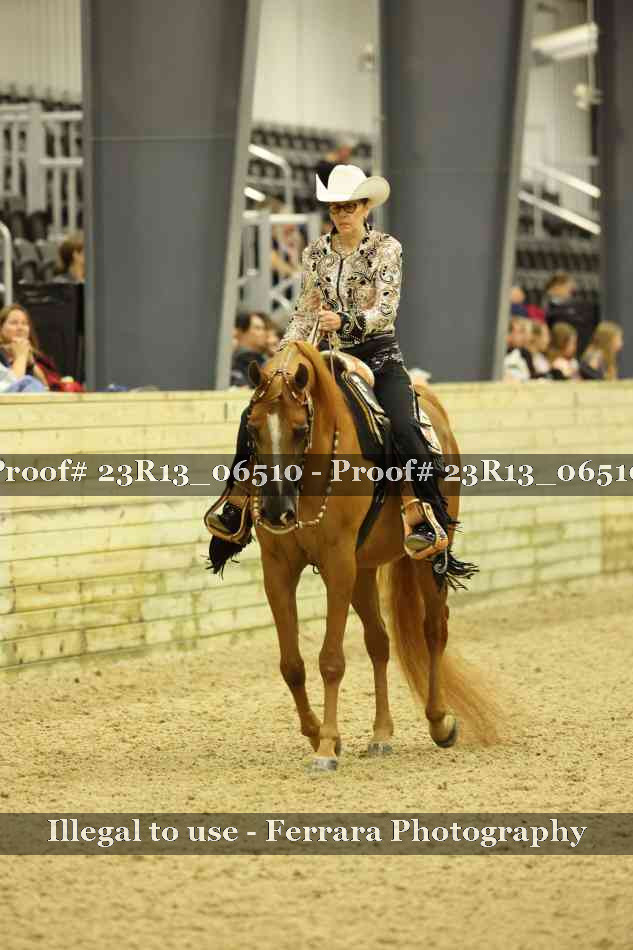 Proof 23R13_06510