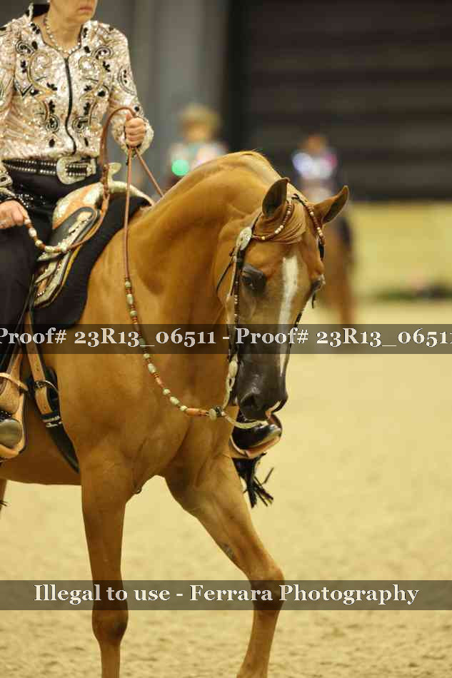 Proof 23R13_06511