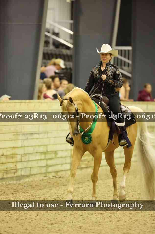 Proof 23R13_06512