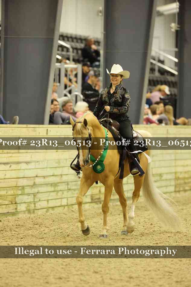 Proof 23R13_06513