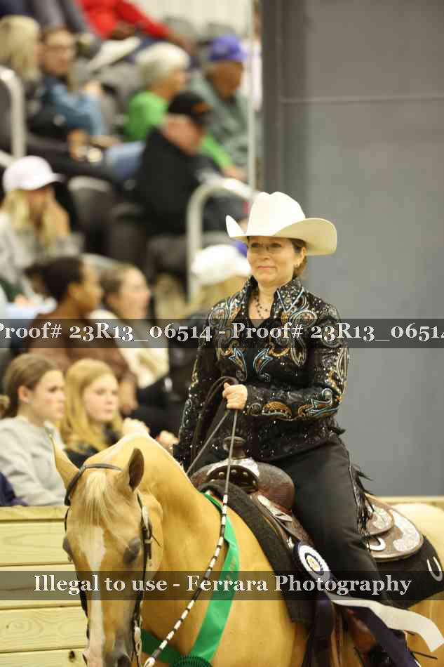Proof 23R13_06514