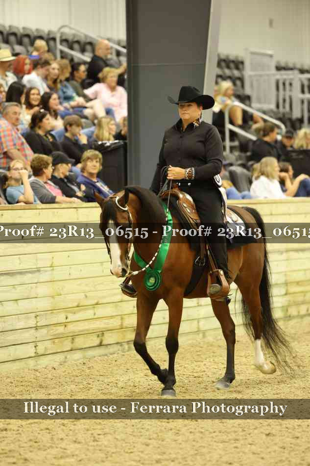 Proof 23R13_06515