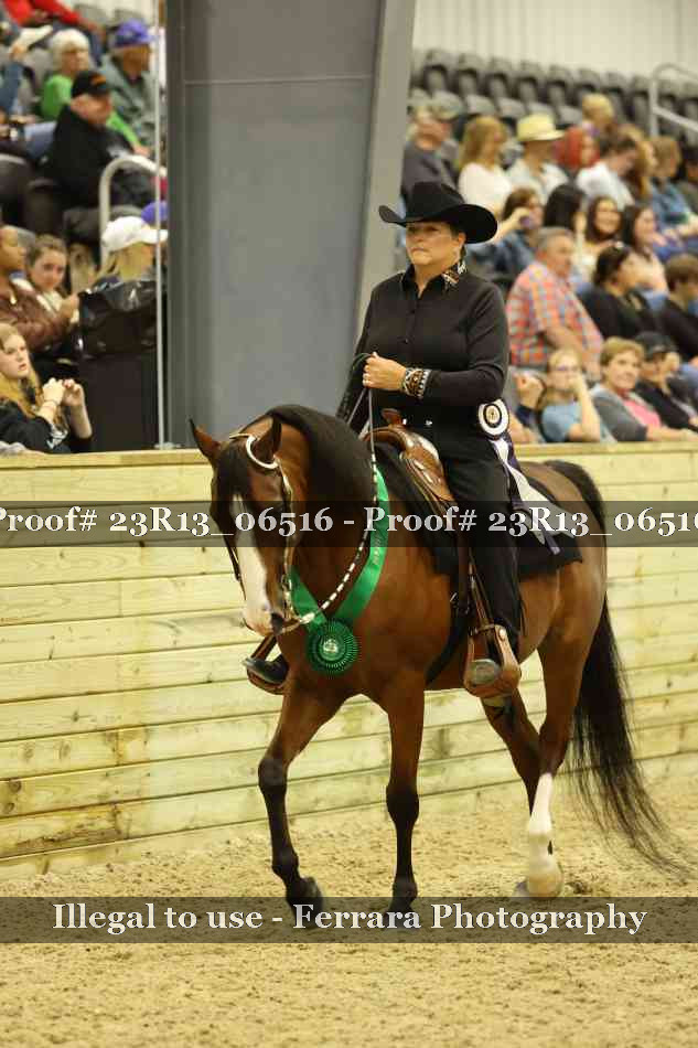 Proof 23R13_06516