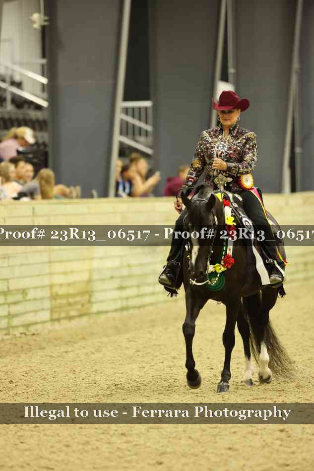 Proof 23R13_06517