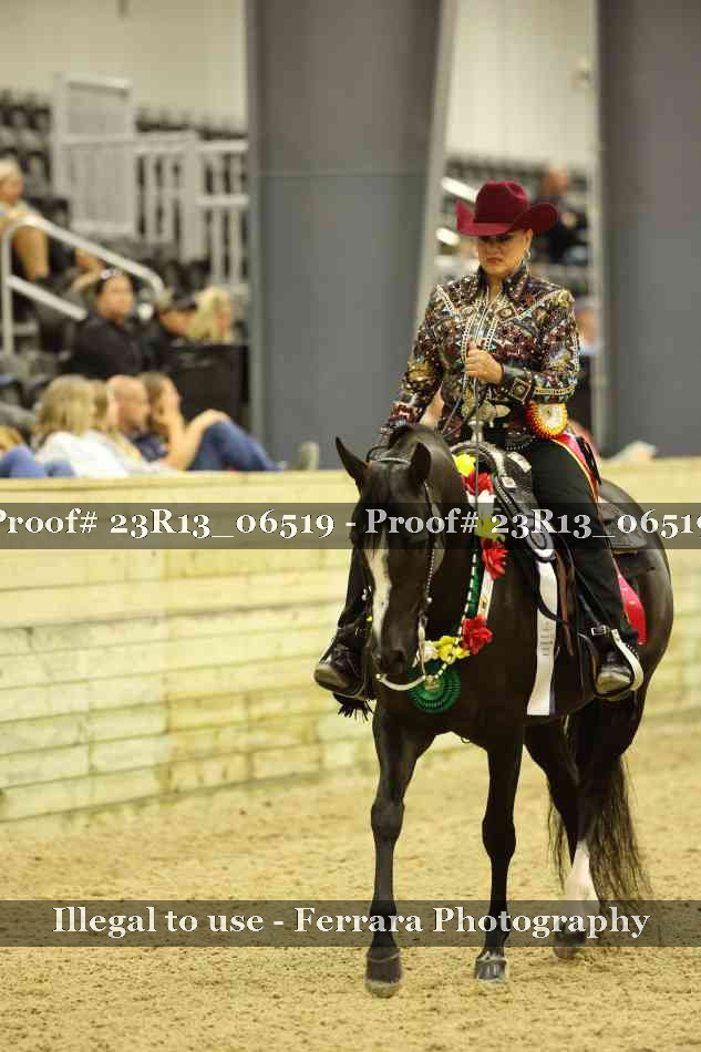 Proof 23R13_06519