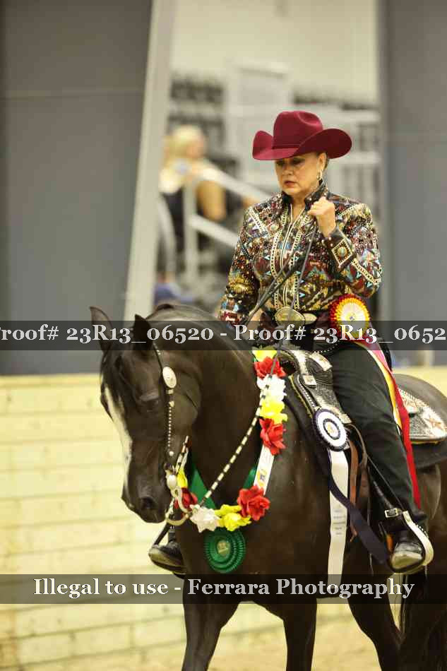Proof 23R13_06520