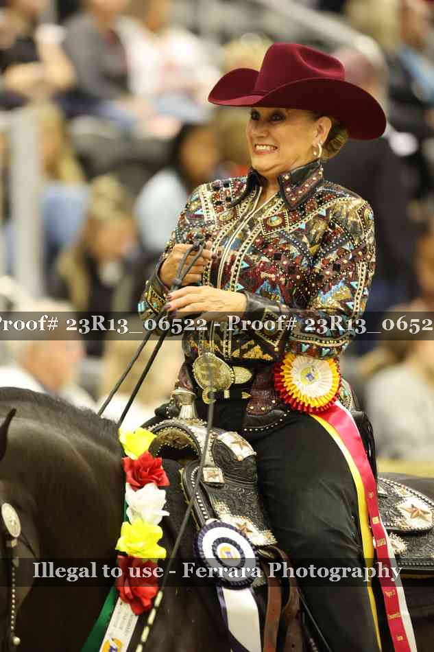 Proof 23R13_06522