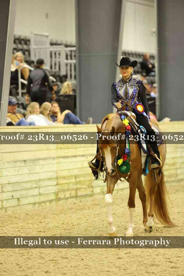 Proof 23R13_06526