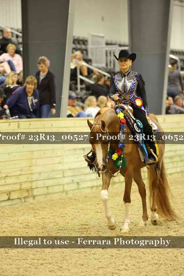Proof 23R13_06527
