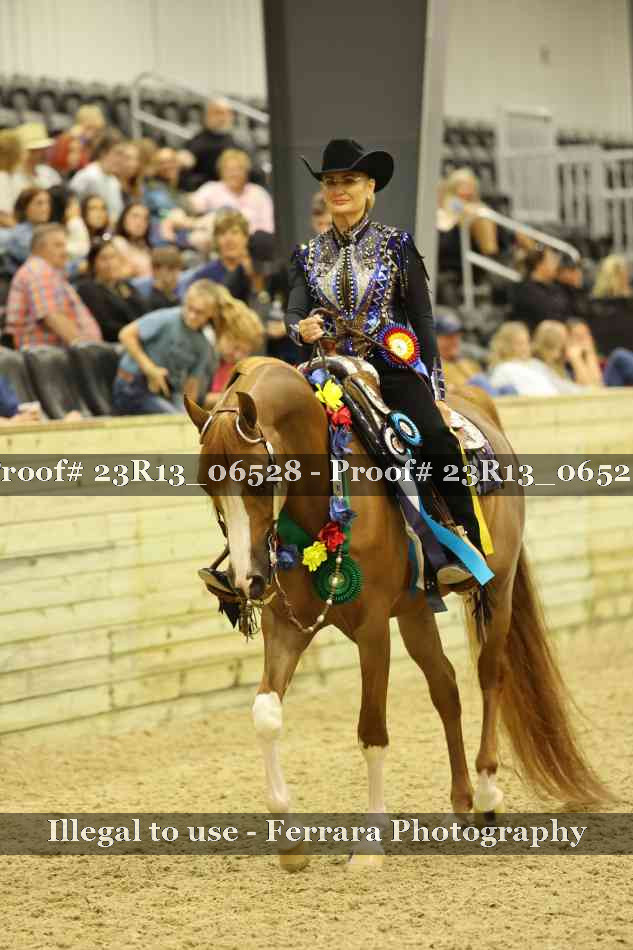 Proof 23R13_06528
