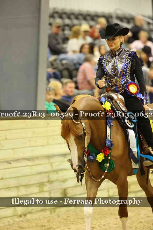 Proof 23R13_06529