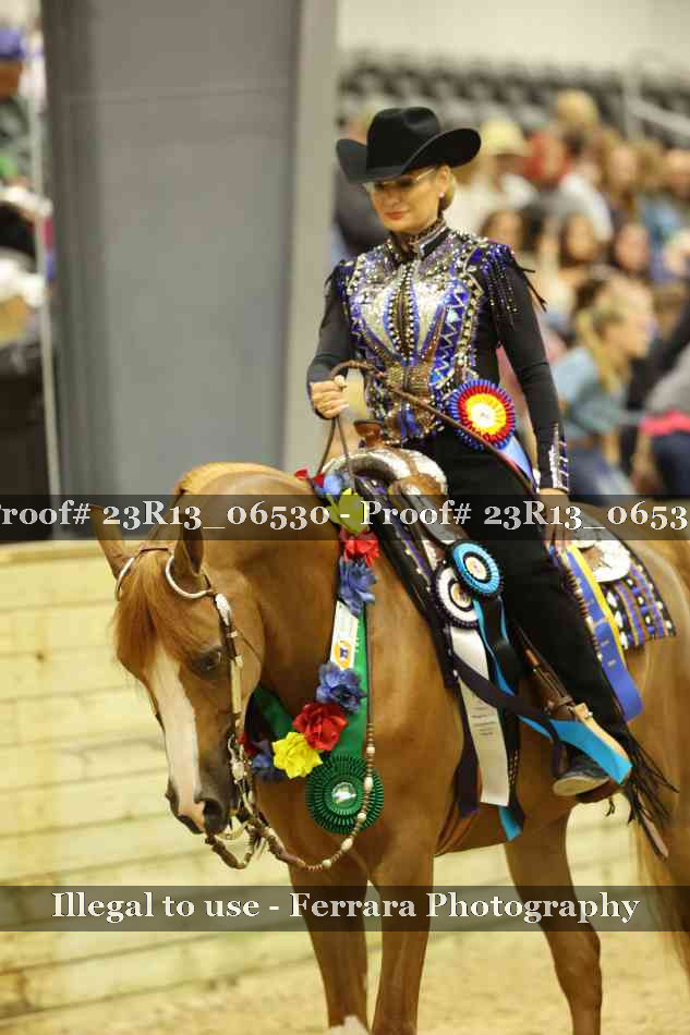 Proof 23R13_06530