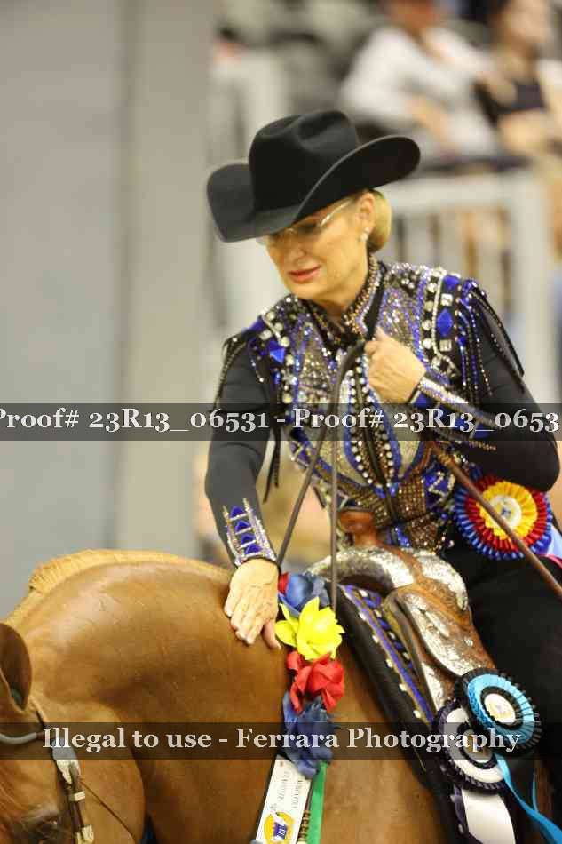 Proof 23R13_06531
